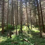 Holiday home Prettenthaler