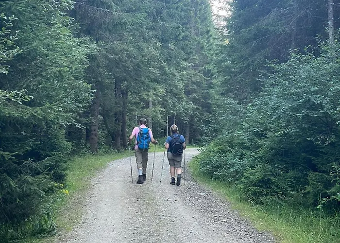 Prettenthaler 度假居 *